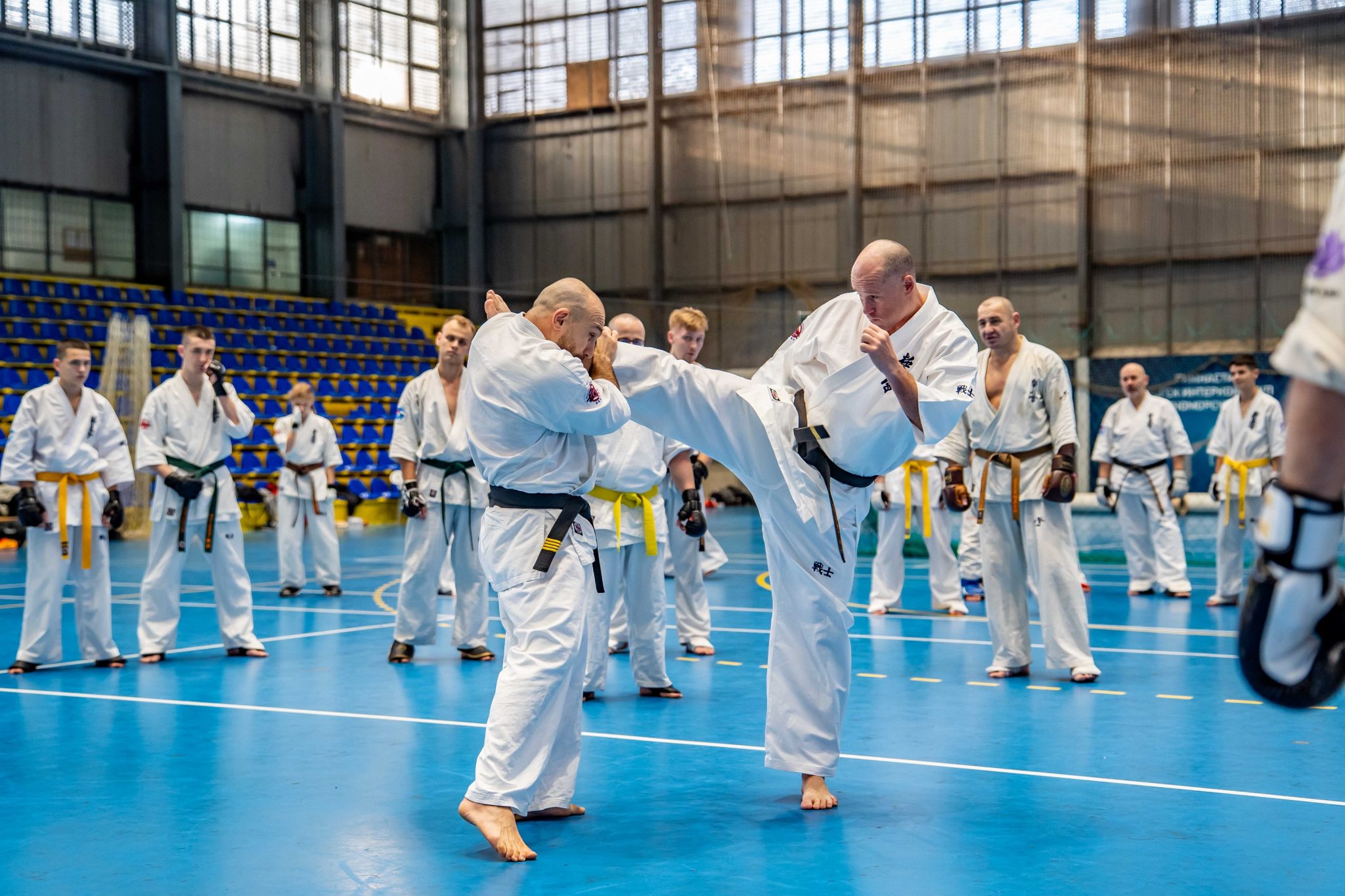 Kyokushin Karate